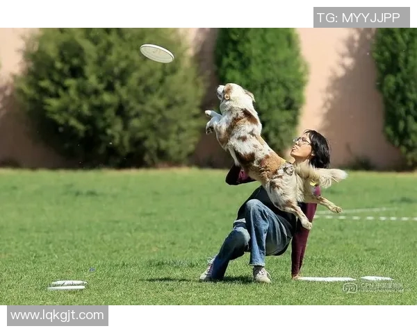 重庆飞盘队在极限运动世界杯中的精彩节奏与表现分析