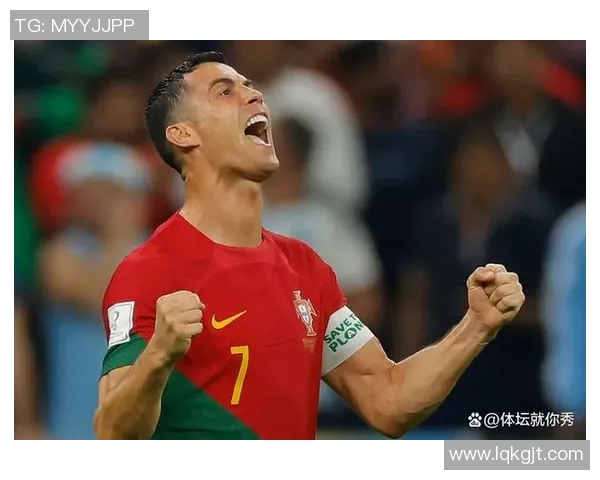 葡萄牙男排迎战巴西队力争在国际赛场上取得佳绩